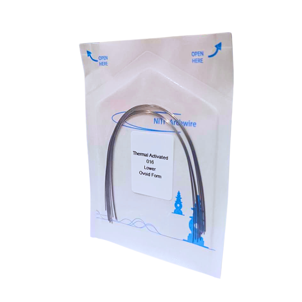 Niti thermal activated wire ovoid 18 LOWER