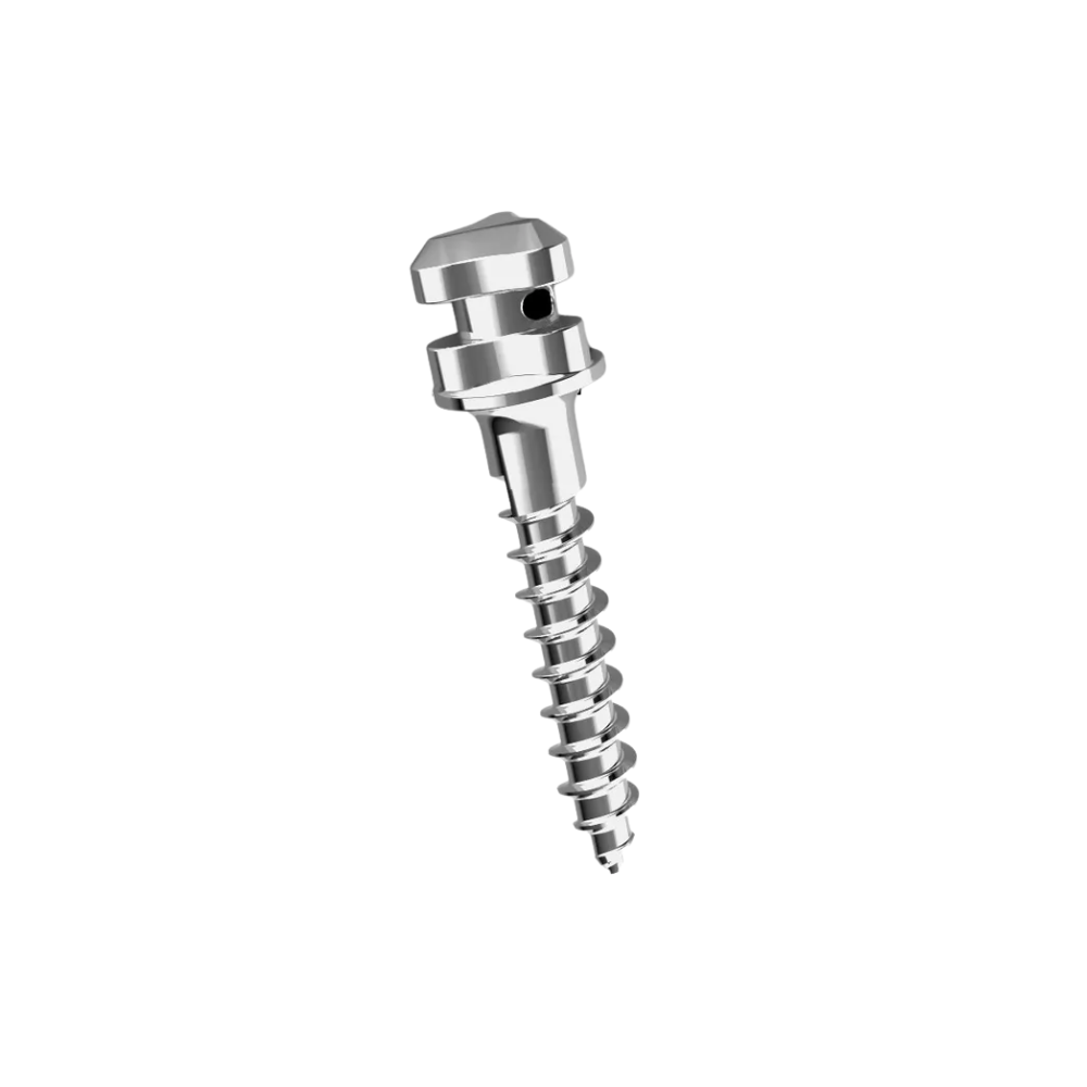 Hexagon mini screw diameter 2.0L 8